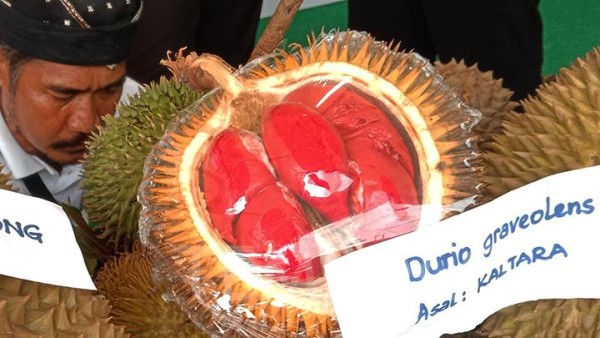 Simak 5 Tips memilih Durian yang Matang dan Manis