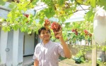 Sensasi Petik Buah Sendiri di 4 Destinasi Jogja Ini, Puas Lur!
