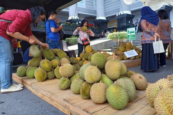 4 Lokasi Penjual Durian di Pinggiran Jalan di Jogja dan Sekitarnya, Mulai Rp10.000