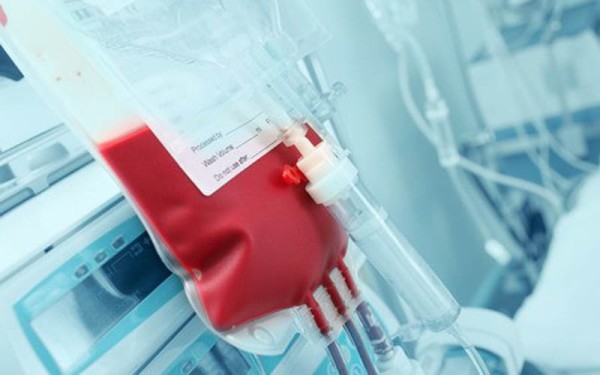 Informasi Update Stok Darah di PMI DIY Senin 20 Februari 2023