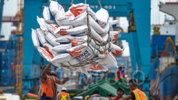 Panen Raya, Ini Target Beras Yang Diserap Bulog Untuk Jadi Cadangan