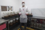 Memasyarakatkan Kombucha, Menyehatkan Masyarakat