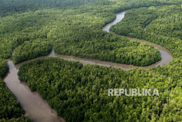 Masyarakat Papua Dan Jambi Yang Tinggal Dekat Hutan Menghadapi Guncangan Perubahan Zaman