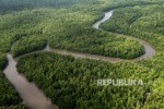 Masyarakat Papua Dan Jambi Yang Tinggal Dekat Hutan Menghadapi Guncangan Perubahan Zaman