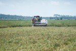 Sekelompok Petani Di Bantul Dapat Bantuan Alat Panen Padi