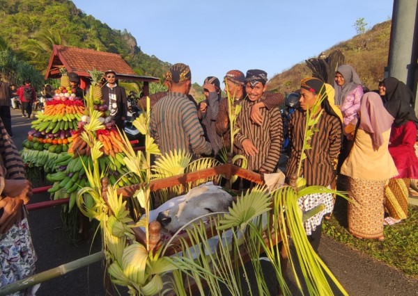 Diiringi Doa dan Dzikir, Warga Paranggupito Larung Kepala Sapi ke Laut