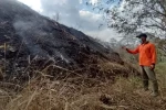 Sampah TPA Ngadirojo Simpan Gas Metan, Mudah Terbakar Selama Kemarau