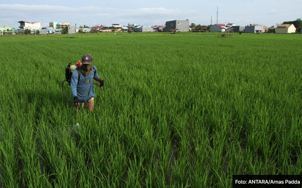 Penyaluran KUR di Sulsel per September 2023 Capai Rp 10 Triliun