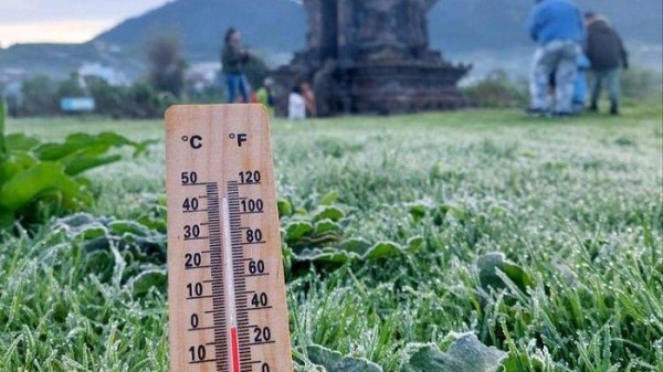 Suhu di Dieng Banjarnegara Makin Mirip Negeri Bersalju, Embun Es Sering Menyapa Wisatawan