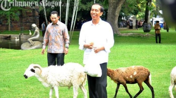 Relawan-relawan Akan Sambut Kepulangan Jokowi dari Bandara Menuju Rumah Sumber