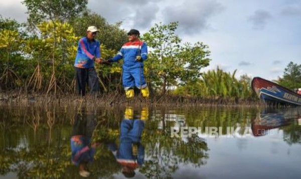 Mengunjungi Wisata Mangrove di Segara Anakan Cilacap