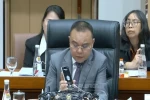 PPN 12 Persen Berlaku 1 Januari 2025, Sufmi Dasco Ahmad Jelaskan Jenis Barang yang Kena Pajak