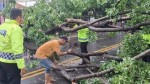 Hujan Angin di Lamongan, Ibu dan Anak Jadi Korban, Tertimpa Pohon Tumbang