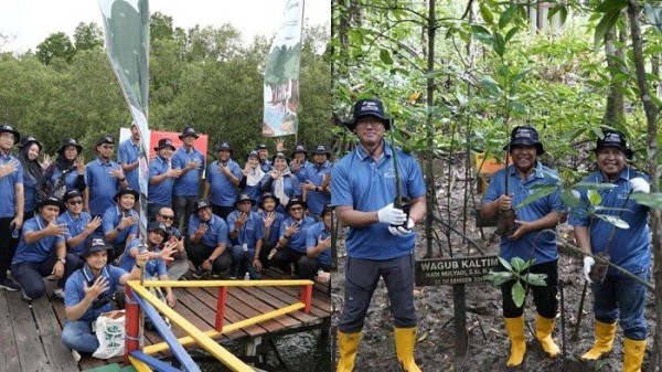 PT Kilang Pertamina Internasional Unit Balikpapan Tanam 100 Bibit Mangrove di Pesisir Balikpapan