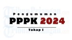 Pengumuman PPPK 2024 Tahap I untuk Instansi yang Berlakukan Tes Tambahan, Begini Cara Ceknya