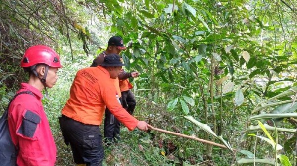 Seorang Nenek di Pekalongan Dilaporkan Hilang di Kebun Teh, Pencarian Masih Dilakukan