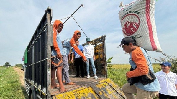 Harga Gabah dan Beras Naik, Petani Minta HPP Rp 7 Ribu per Kg, Mayoritas Petani Gurem