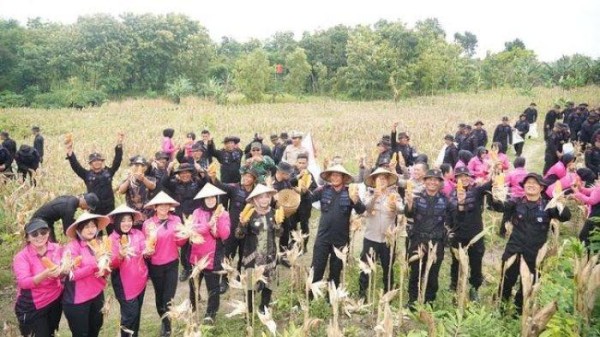 Dukung Program Ketahanan Pangan Nasional, Brimob Polda Jateng Panen Raya 9 Ton Jagung