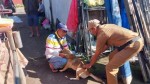 SIAPKAN 10 Ribu Vial Vaksin Anti Rabies, Distan Buleleng Genjot Vaksinasi Rabies Usai Idul Fitri