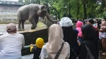 Libur Waisak, 42.365 Orang Kunjungi Taman Margasatwa Ragunan