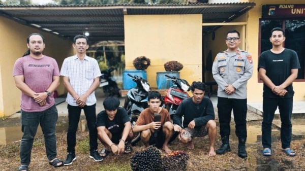 Tiga Pencuri TBS Sawit Diciduk Polsek Mendobarat, Satu Pelaku Diamankan saat Sedang Pesta Narkoba