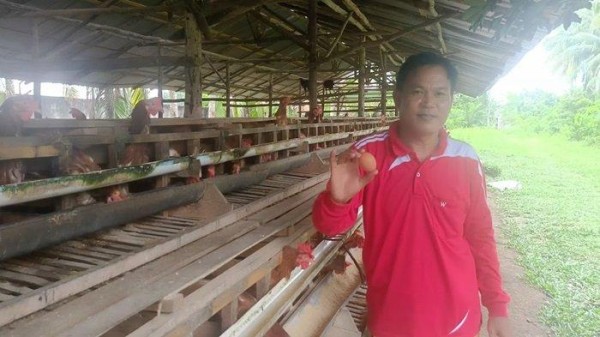 Kelompok Ketahanan Pangan Desa Pedamaran 5 OKI Kelola Ayam Petelur, Hasilkan 23 Kilogram Telur