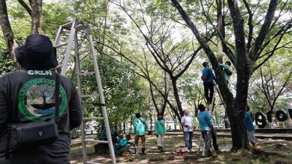 WISATA KALSEL: Koleksi Konservasi Anggrek Bulan Tanjung Bersinar Park Akan Ditambah Jenis Lain