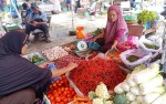 Deflasi Mei 2025 Tanda Penurunan Daya Beli Masyarakat