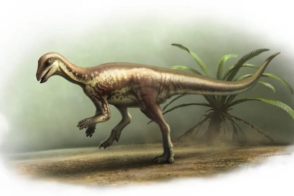 Dinosaurus "Pelari" Seukuran Anjing Ditemukan di Colorado