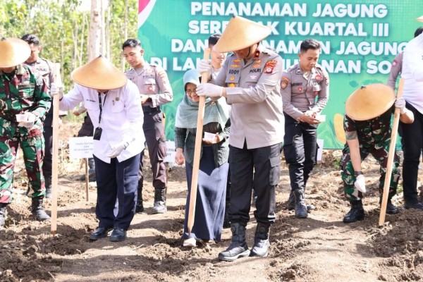 Dukung Target 1 Juta Hektare Lahan Jagung, Polda DIY Lakukan Penanaman Serentak di Gunungkidul