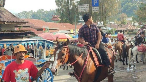 Musim Libur Sekolah, Penyedia Jasa Kuda Tunggang Berastagi Tanah Karo Raup Untung Berlipat