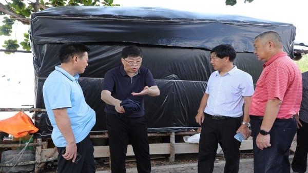 Investor China Makin Yakin Tanamkan Modal di Babel, Dukung Proyek Kota Baru Pasir Padi