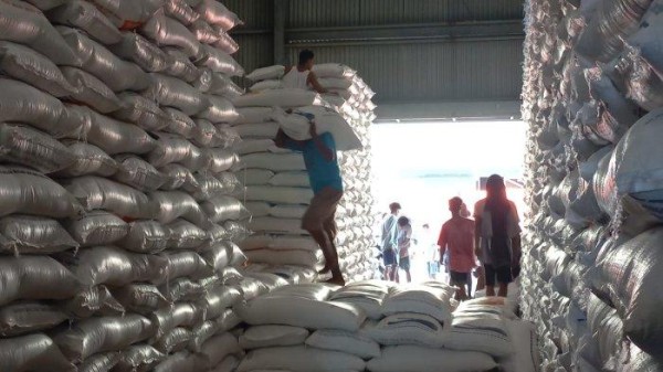 Stok Beras Bulog Maluku Malut Capai 19 Ribu Ton, Cukup Hingga Akhir Tahun