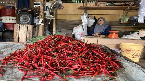 Harga Cabai di Pasar Pulau Mas Empat Lawang Merangkak Naik, Tembus Rp 50 Ribu per Kg