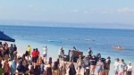 Ratusan Turis Asing ke Kupang, Oceania World Travel Sebut Atraksi Budaya Menarik untuk Wisman