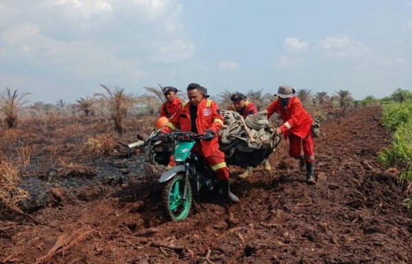Ironi Manggala Agni, Bertaruh Nyawa Selamatkan Hutan dengan Peralatan Minim