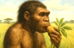 Manusia Purba Bertahan Hidup dengan Makanan yang Hampir Tak Bisa Mereka Kunyah