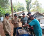 Perhutani Kedu Selatan Bersama Masyarakat Produksi Gondorukem