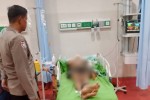 Detik-Detik Dua Orang PPSU Tertabrak Mobil Listrik di Jaksel