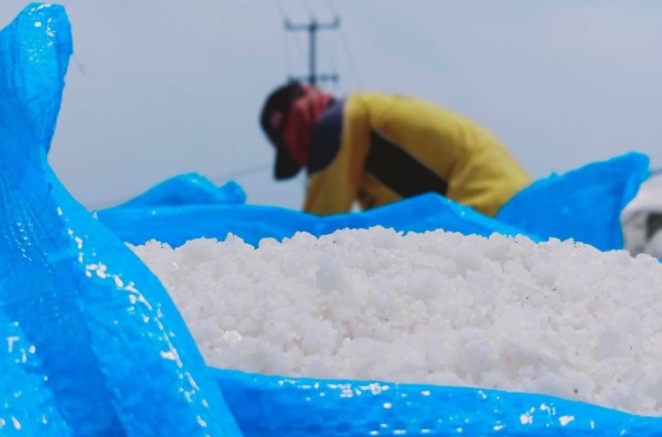Harga Garam Tinggi tak Dinikmati Petambak