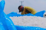 Harga Garam Tinggi tak Dinikmati Petambak