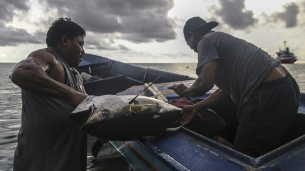 KNTI Ungkap Dilema Proyek Modernisasi Kapal Nelayan 