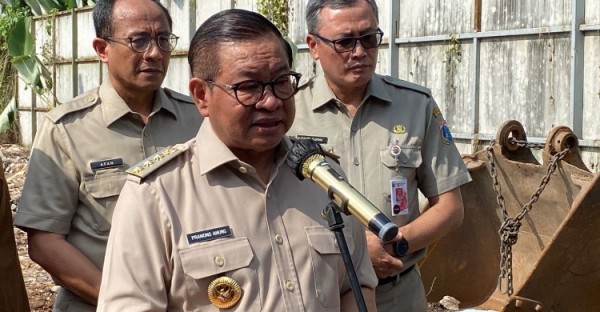 5 Ribu Pohon Di Jakarta Sudah Tua Dan Rawan Tumbang