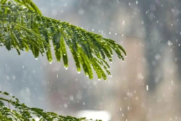 Prakiraan Cuaca BMKG 15 November 2025, Kaltim Berpotensi Hujan di Sejumlah Wilayah