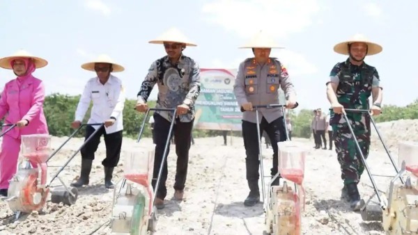 Gerakan Tanam Jagung di Bendosari, DPRD Sukoharjo Dorong Skema Pemasaran yang Menguntungkan Petani!