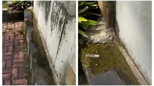 Tanggul Pantai Mutiara Rembes, Dinas SDA Siapkan Peninggian Struktur