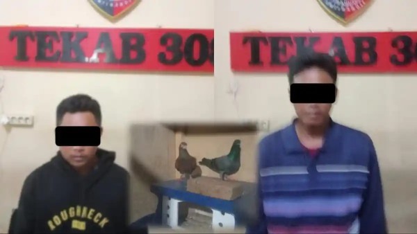2 Pencuri Burung Dara Diciduk Polres Metro