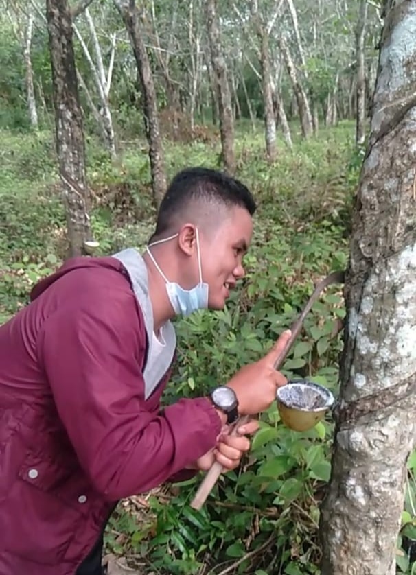 Ilustrasi Petani Karet