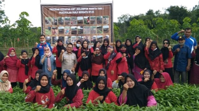 Kelompok Wanita Tani (KWT) di Desa Pangkalan Panji, Kecamatan Banyuasin III panen sayur mayur.