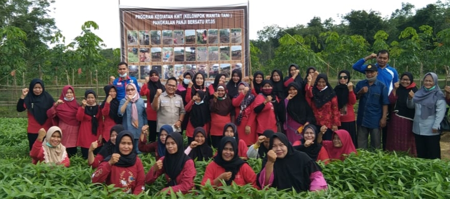 Kelompok Wanita Tani (KWT) di Desa Pangkalan Panji, Kecamatan Banyuasin III panen sayur mayur.